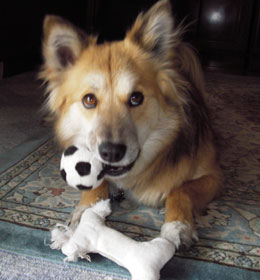 �y�����Ďd���Ȃ�