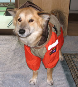 �V�i�̃J�b�p�E�E�E