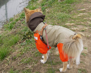 �����ۂ������肪��