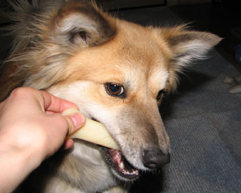 �V����������I���`��