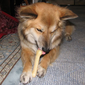 ������Ƃ�������