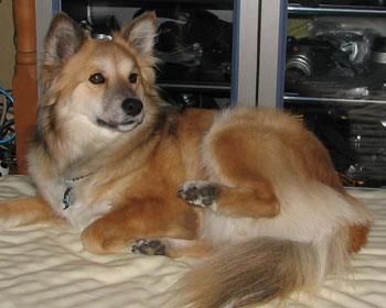 ���~��������̌�둫