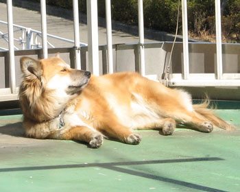 ���Ԃ͂���������