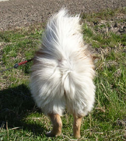 �������ŐK���񂿂Ⴍ��