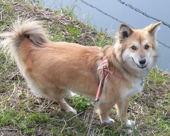 �ɂ�����