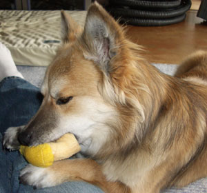 �l�̑��̏�ł��݂���