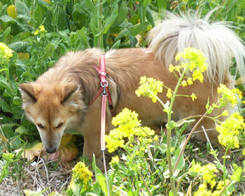 �ǂ��s����������񂾂�