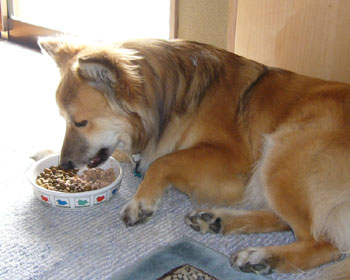 �V�����H��ŉ����H��