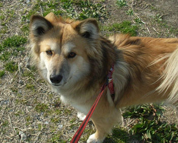 ����E�E�E