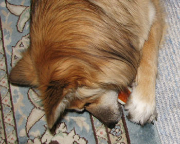 �����K��