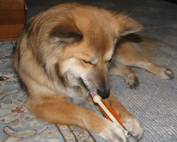 �������E�E�E