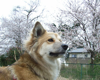 �����l�R�T��