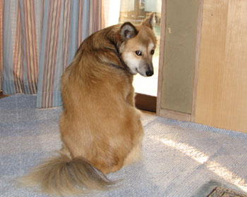 �O�ɏo���Ă�