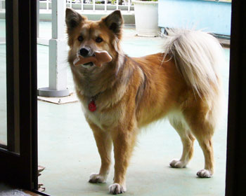 �V�ڂ��Ă�