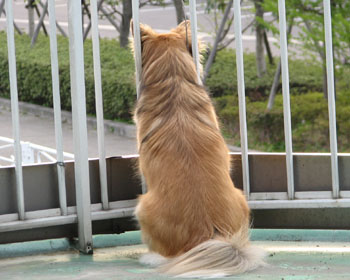 ����o���Ă����킭�Ȃ�