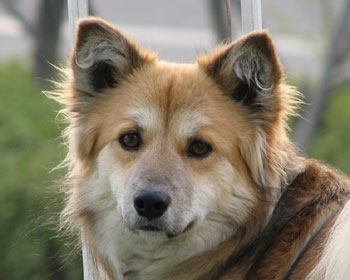 �Z��������Ă΂Ȃ���