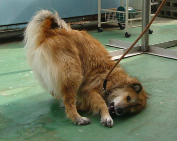 �������Ă��I