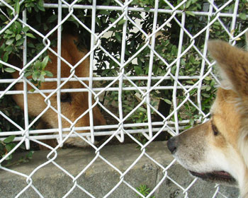 ����ɂ���