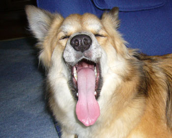 �ދ��E�E�E