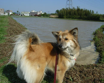 �V�ׂȂ��Ȃ��������