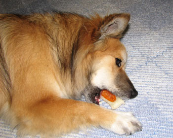 �y�����Ėڂ��C���Ă��܂�