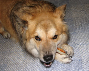 �y��������Ɩڂ������