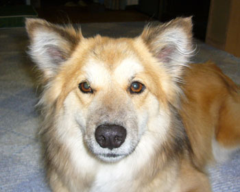 �Â���͂Ȃ����Ȃ�