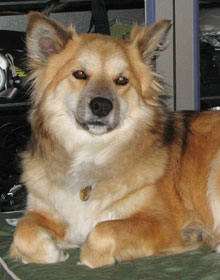 �����������H