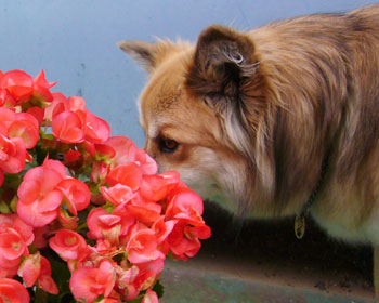 �V�������m�͂܂��j�I�C������