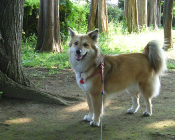 ���낻����A�������G��