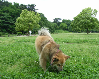 ���˕a�@�̉��ɂ͍L��������