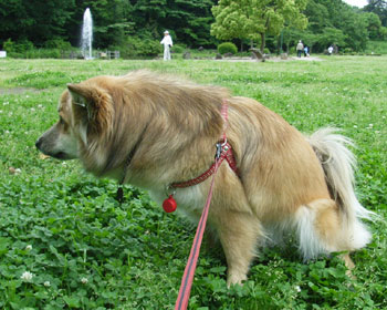 ��d���I���ă`�[