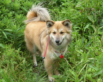 �܂����N���W�����O���̋C�z