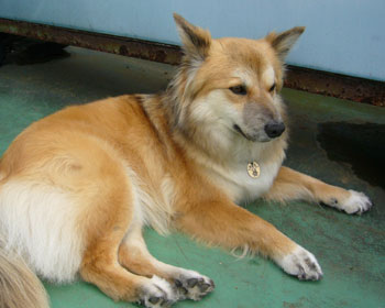 ���A�����Ȃ��Ă���