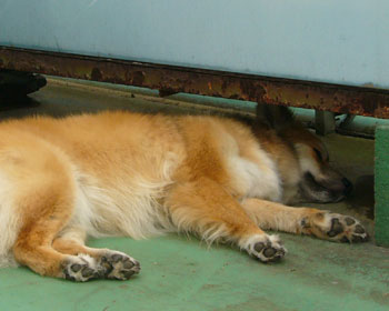 �Q���疄�܂���