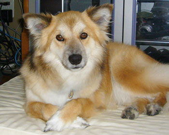 ������Ǝv�Ē�