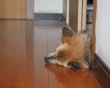 �������M