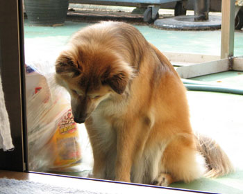 �C�ɂȂ��Ďd���Ȃ�