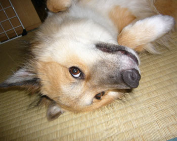 �Ȃŋx�ނƂɂ��