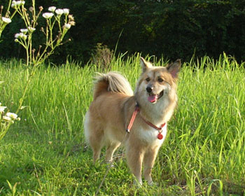 �Ă̎U���͗[������