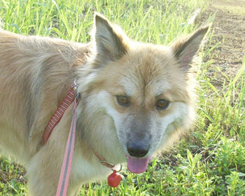 ����[����