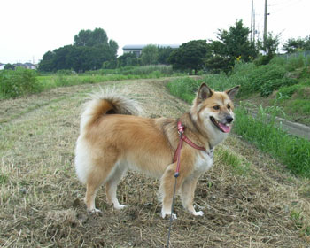 �W�����O�����؂蕥��ꂽ