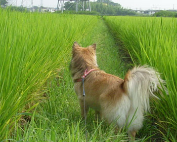 �����ň�x�����l�R������