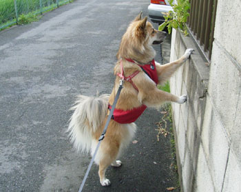 �܂����炩�E�E�E