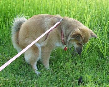 �l�̃E���`�����߂�