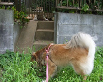 �����Ă�̂ɋC�Â��Ȃ�