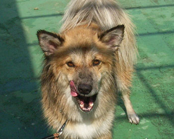 ���N�Ō�̃x�����_���C