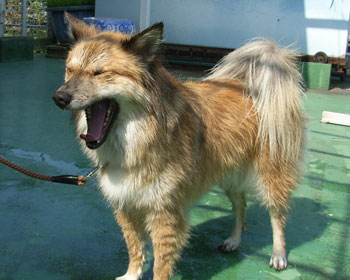 �����؂�Ȃ�����