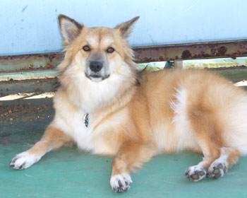 ���A�ŐQ��̂����̂���