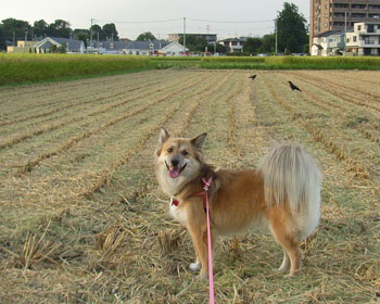 ��肪�n�܂����I